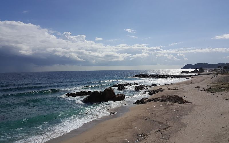 울진오징어사랑마을영어조합법인