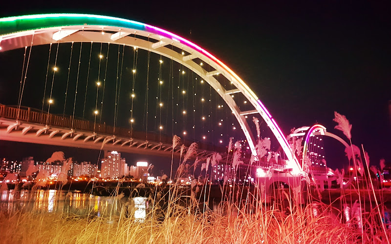 Taehwagang Bamboo Forest