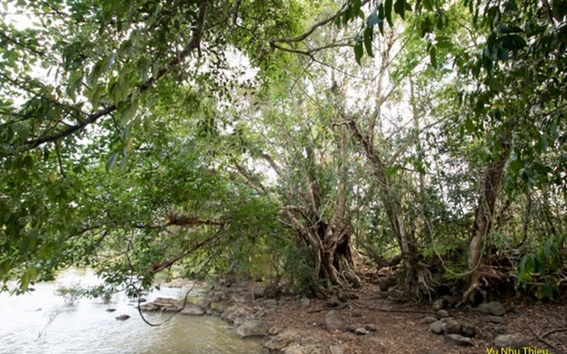 Ghềnh thác Bến Cự