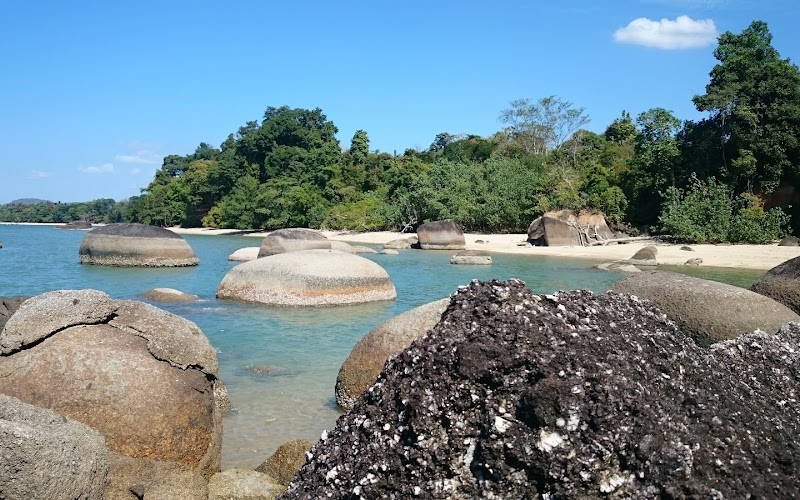 Wild Beach