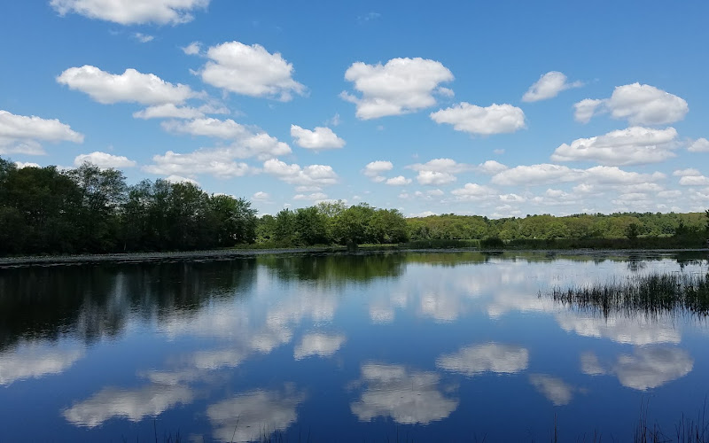NEMBA Trails at Milford