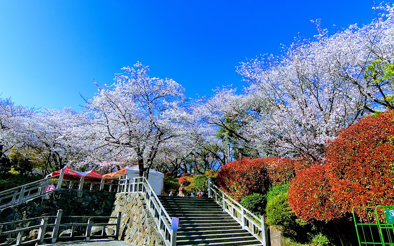 Asukayama Park