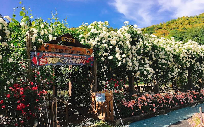 Dachiboku Rose Garden