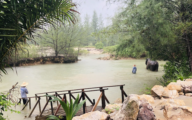 Elephant Seaside Retreat