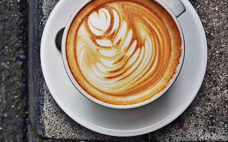 Patricia Coffee Brewers