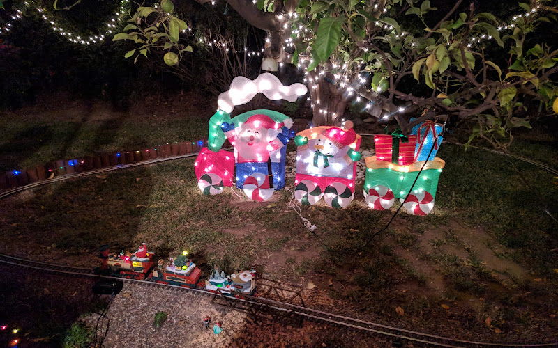 Christmas Tree Lane