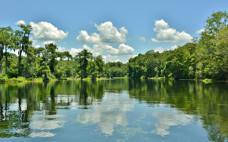 Edward Ball Wakulla Springs State Park