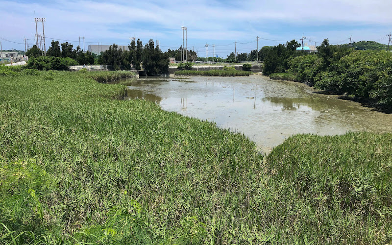 三角池（探鳥地）