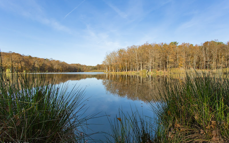 Dobrovnik Energijski Park