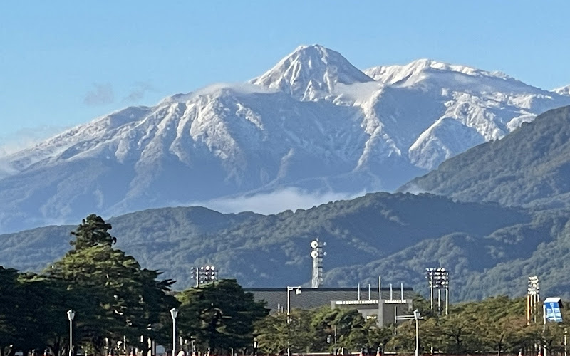 西堀のハス(高田城址公園)