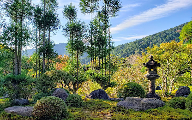 실광원(짓코인)