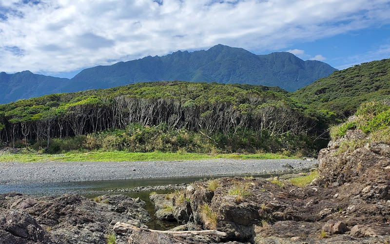 Pillow-shaped lava in Tashiro Coast.
