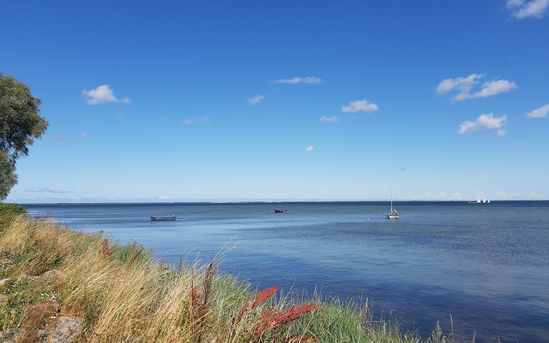 Punkt widokowy na zatokę
