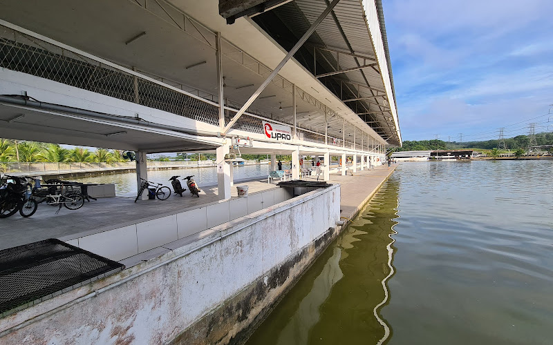 Natural Exotic Fish Fishing Pond ( WL )