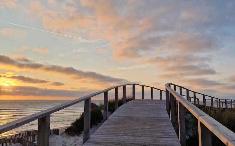 Passadiços entre Barra e Costa Nova