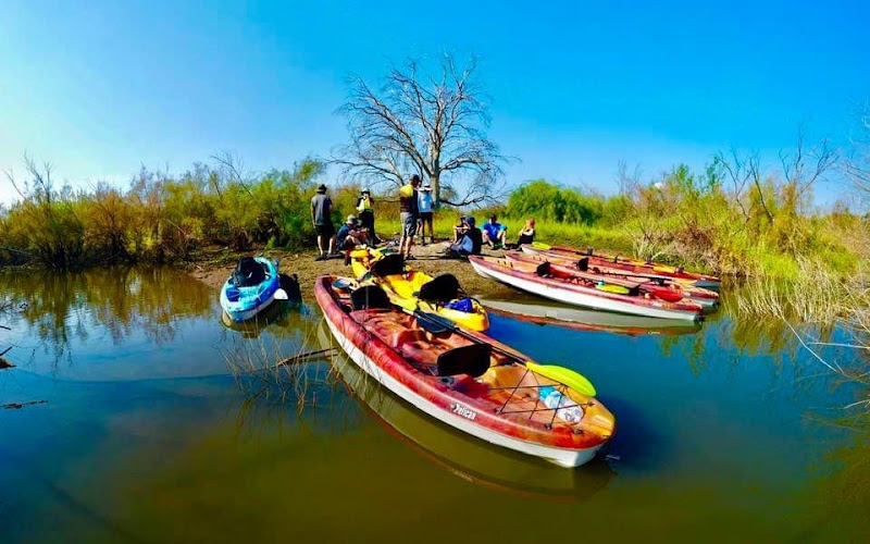 שייט קיאקים בכנרת