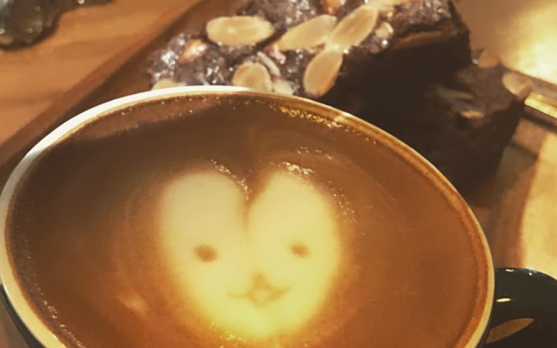 Amici coffee & space