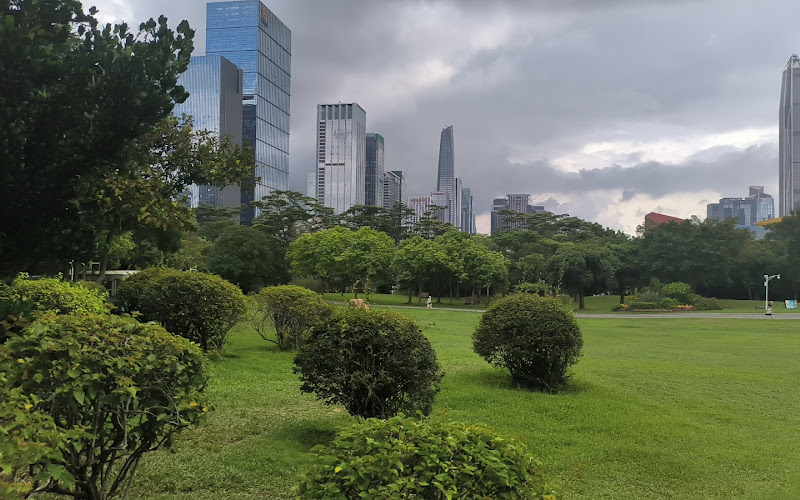 蓮花山公園風箏広場