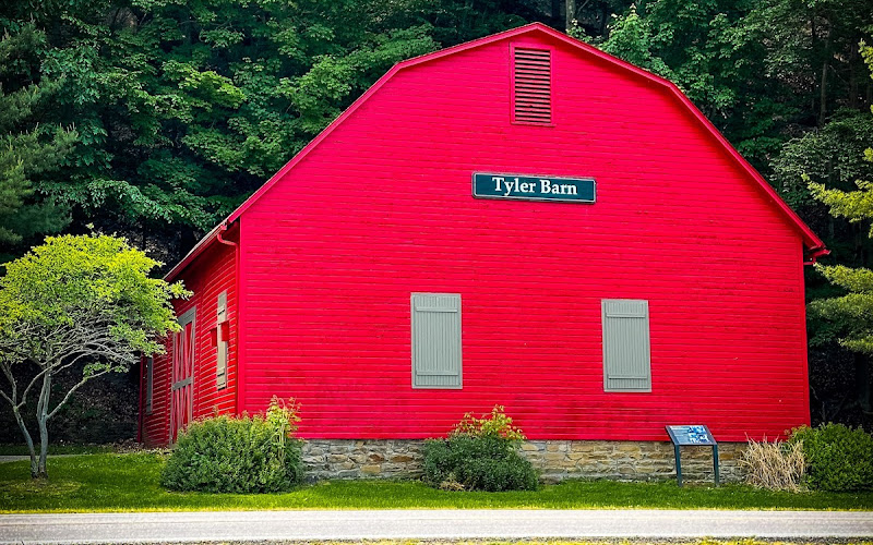 タイラー・バーン