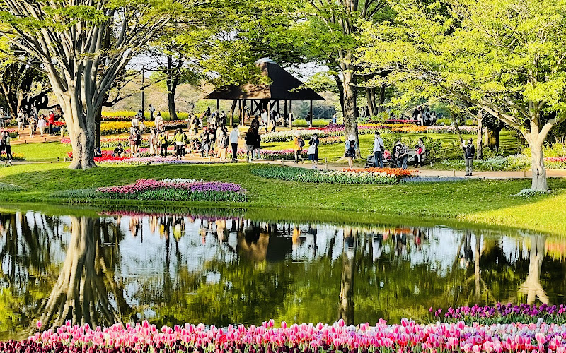 国営昭和記念公園 渓流広場