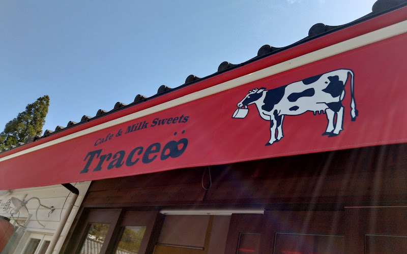 Trace∞