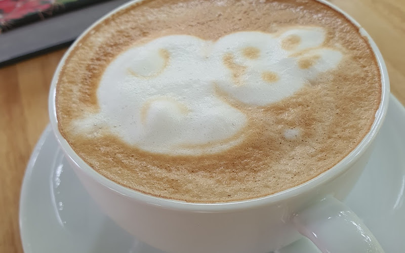 カクタス モーニング