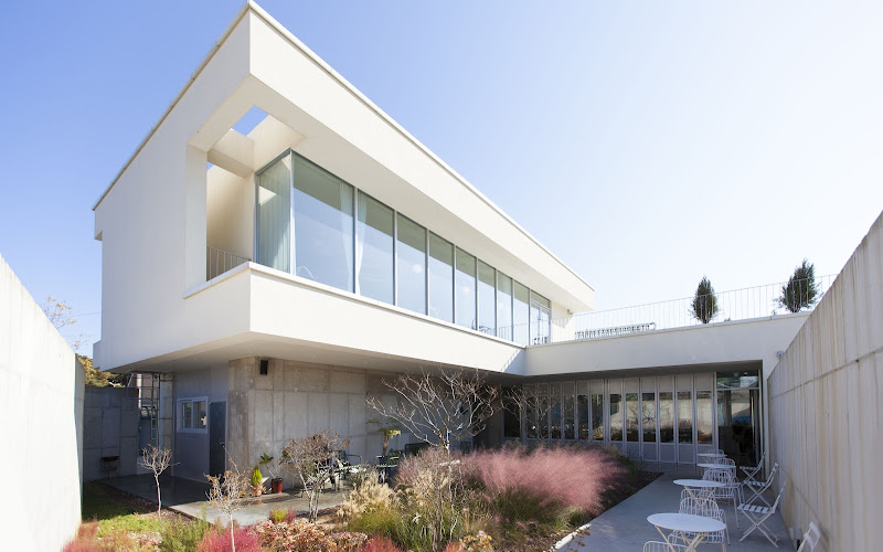 Chodang Whale Roasting Cafe