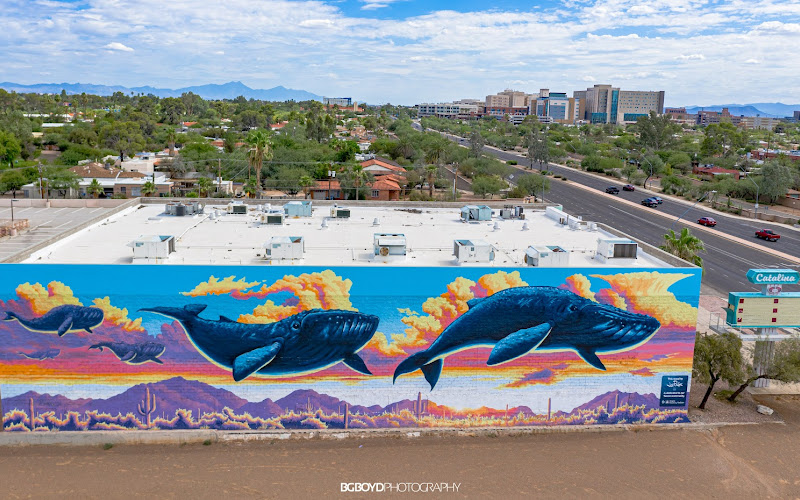 Whale Mural by Joe Pagac