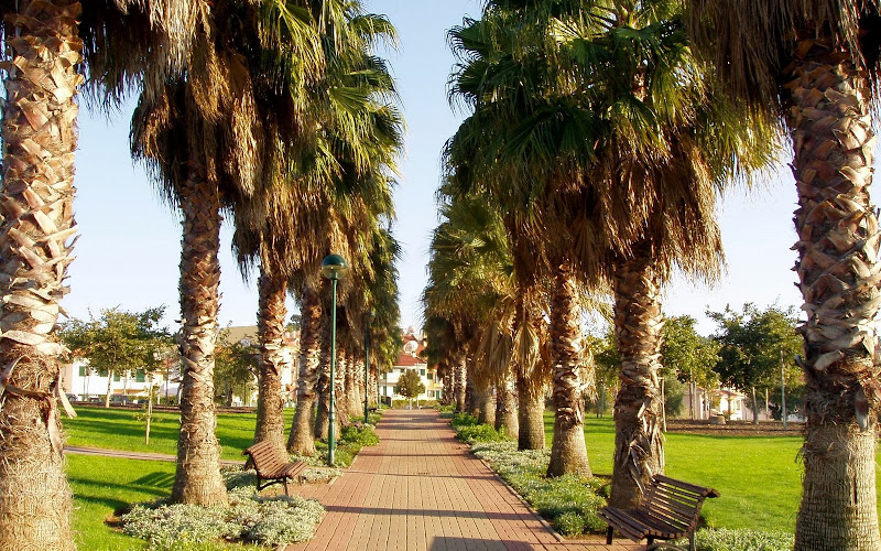 キンタ・ド・ジャルディン公園