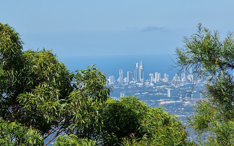Freeman's Lookout