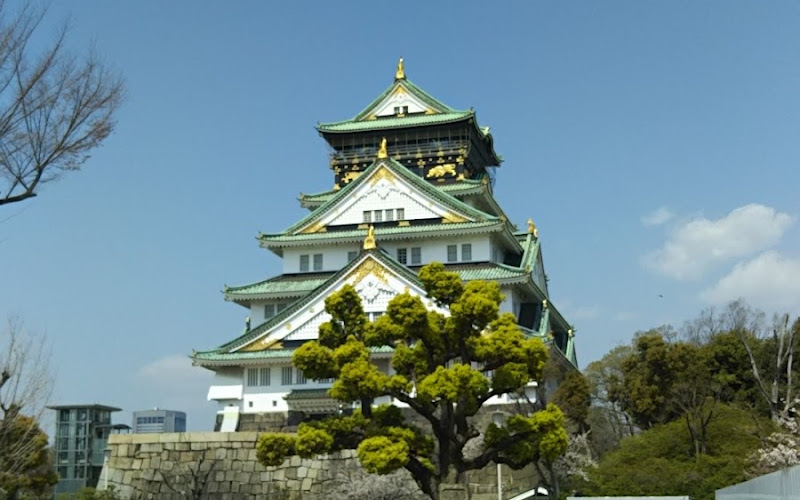 Hydrangeas at Nagai Botanical Garden