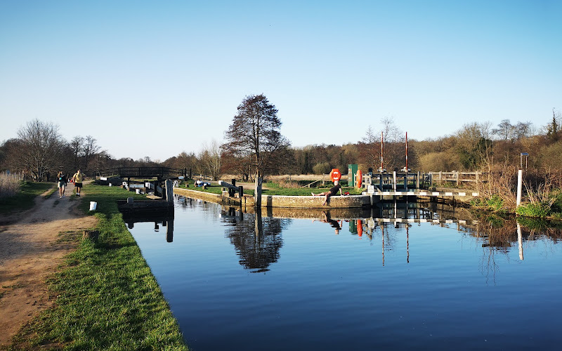 シャルフォード・コモン