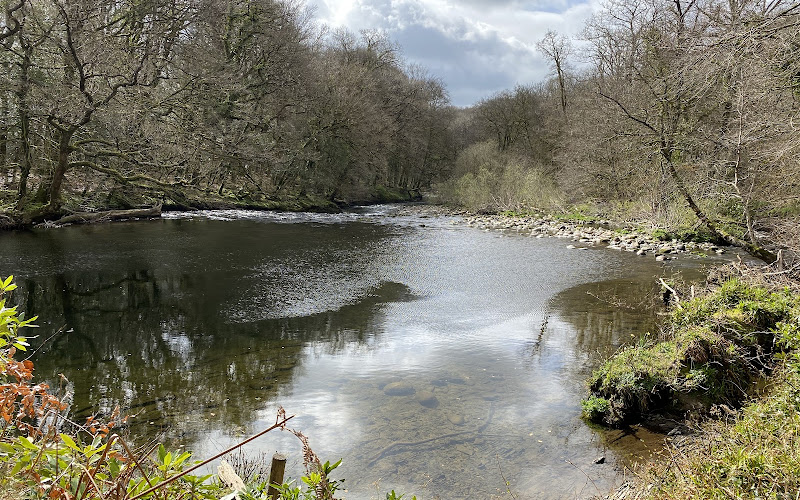 National Trust - Hembury and Holne Woods