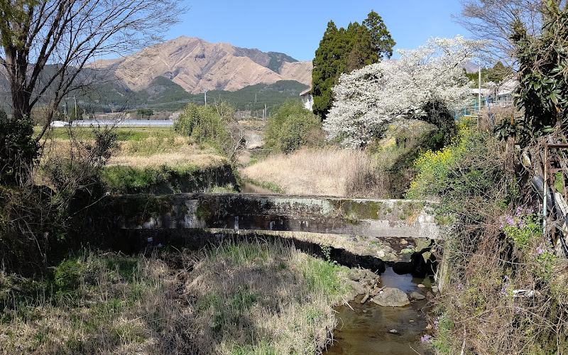 이케노카와 수원