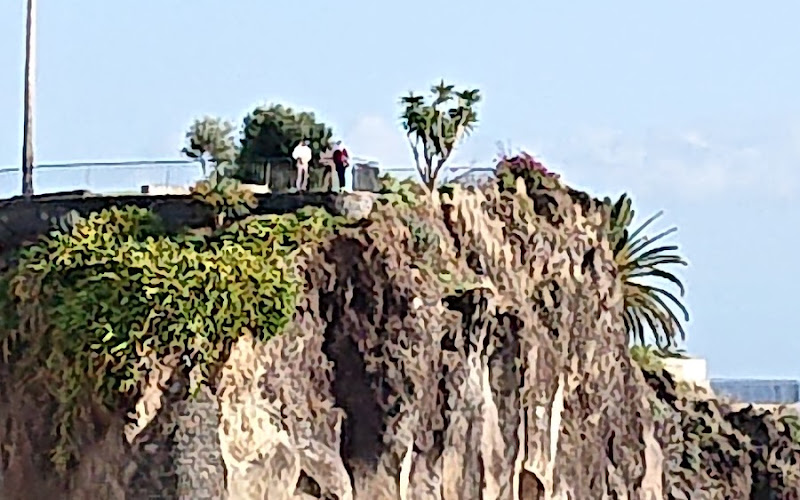 Ilhéu de Câmara de Lobos