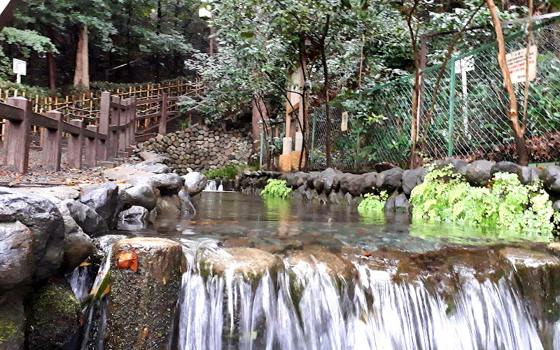 Otaka no Michi Masugata Pond Springs