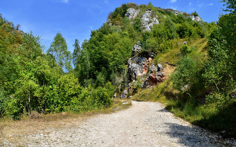 Cheile Roșiei