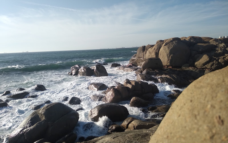 Praia das Pedras Amarelas