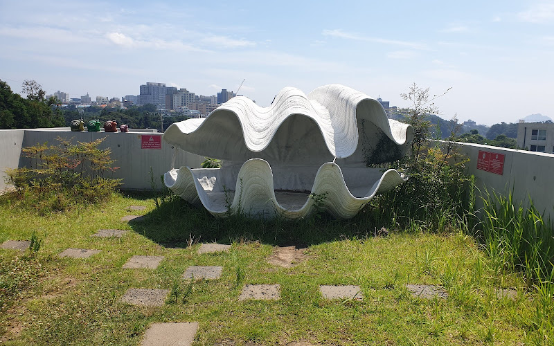 World Seashell Museum