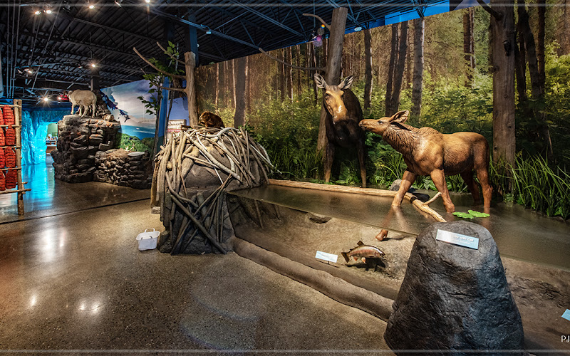 Kenai National Wildlife Refuge Visitor Center and Headquarters