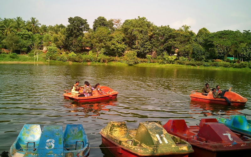 필리쿨라 비올라지컬 파크