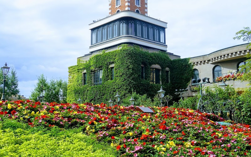 ROYCE' 巧克力世界