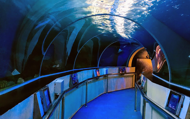 Waghor Aquarium
