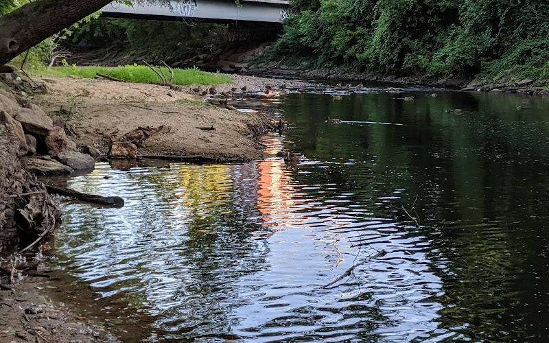 Bass Island Park