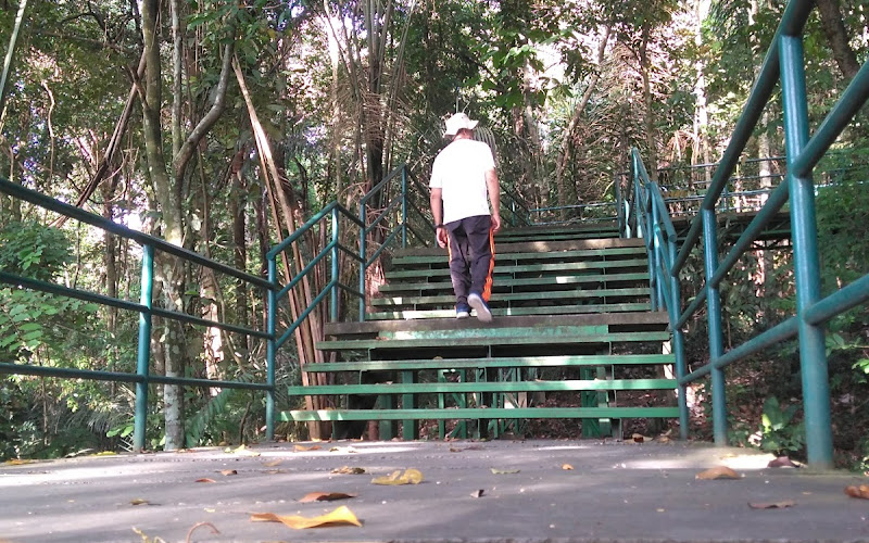 Casa da Ciência🦋 (INPA)