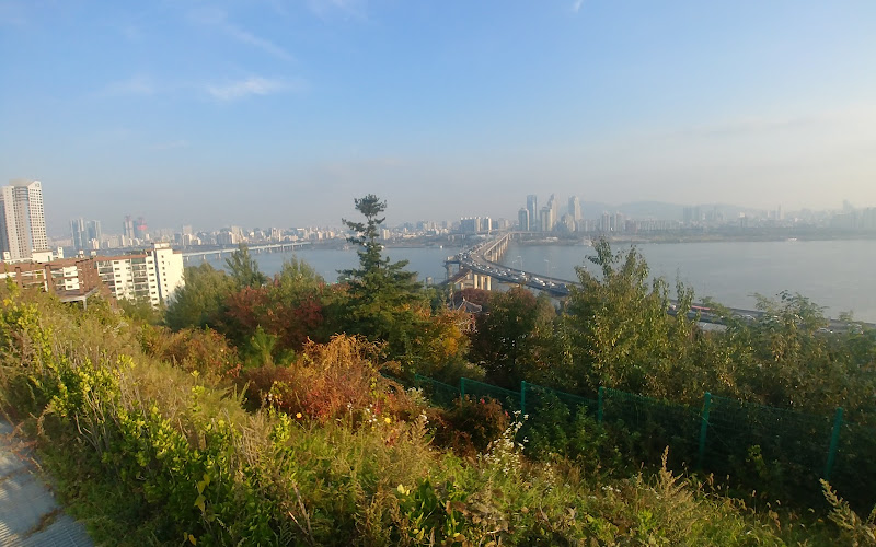 삼성 해맞이 공원