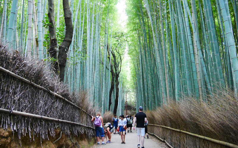 嵐山竹林小徑