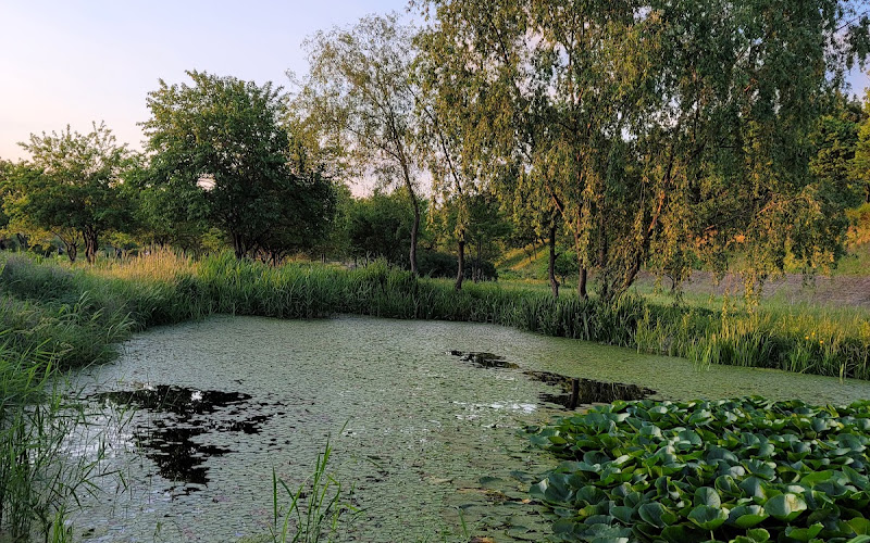 Tancheon Freshwater Ecological Park