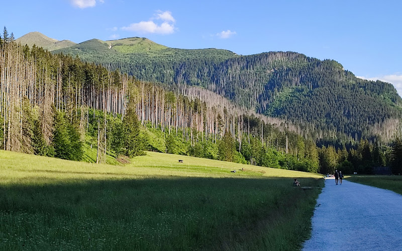 Wyżnia Kira Miętusia