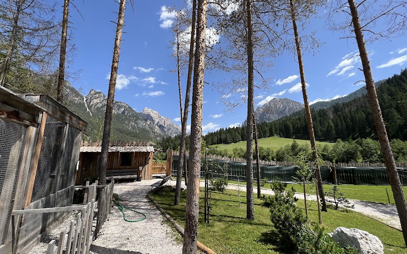 Owl Park San Vigilio - Zoological Park with Owls and Other Birds of Prey